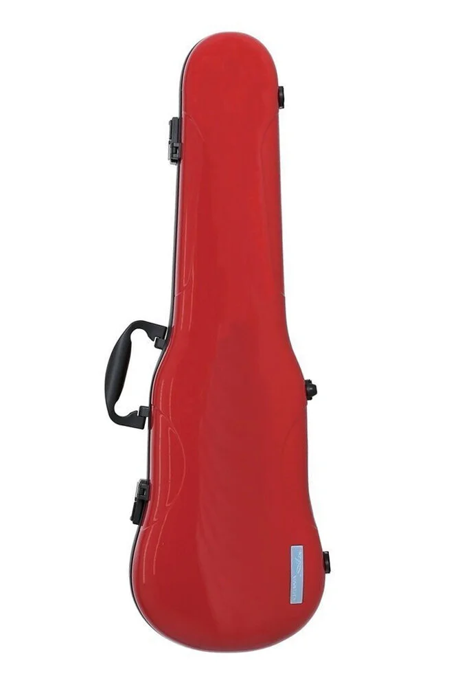 Violin case 2024